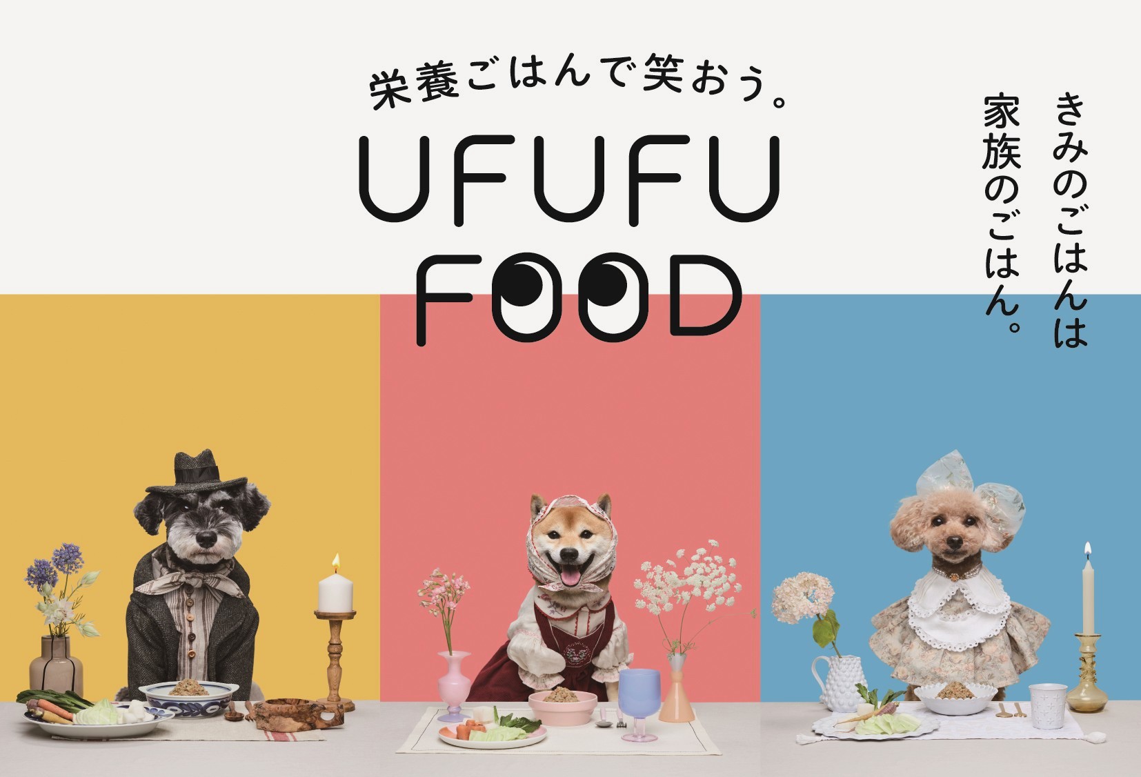 わんこのための栄養ごはん『UFUFU FOOD』ブランディング・プロモーション